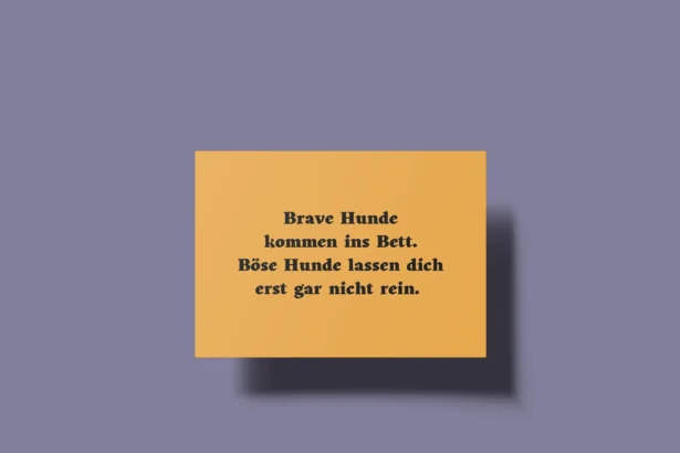 böse sprüche sarkasmus