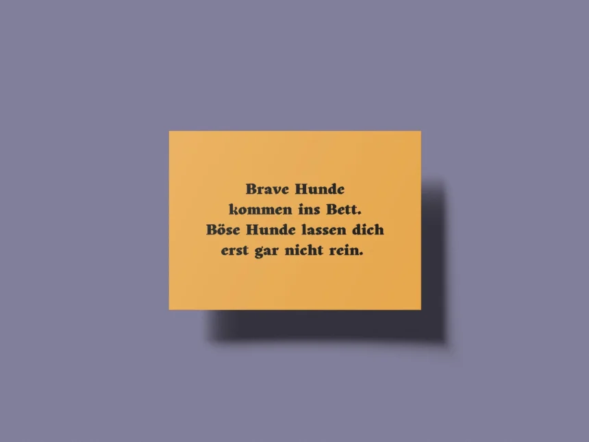 böse sprüche sarkasmus