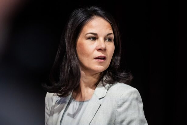 annalena baerbock kinder adoptiert